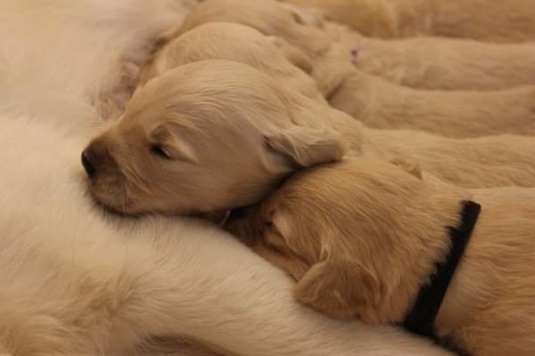 Mrs Black Wo 3_2.jpg